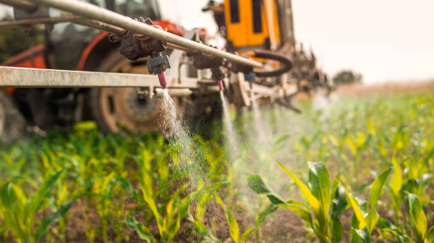 Best Mosquito Control Services  in Cheyenne, WY